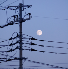 月と電線のコンポジション