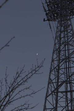 冬空