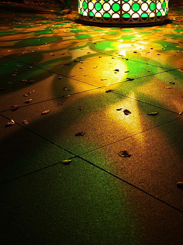 TOKYO ILLUMINATION