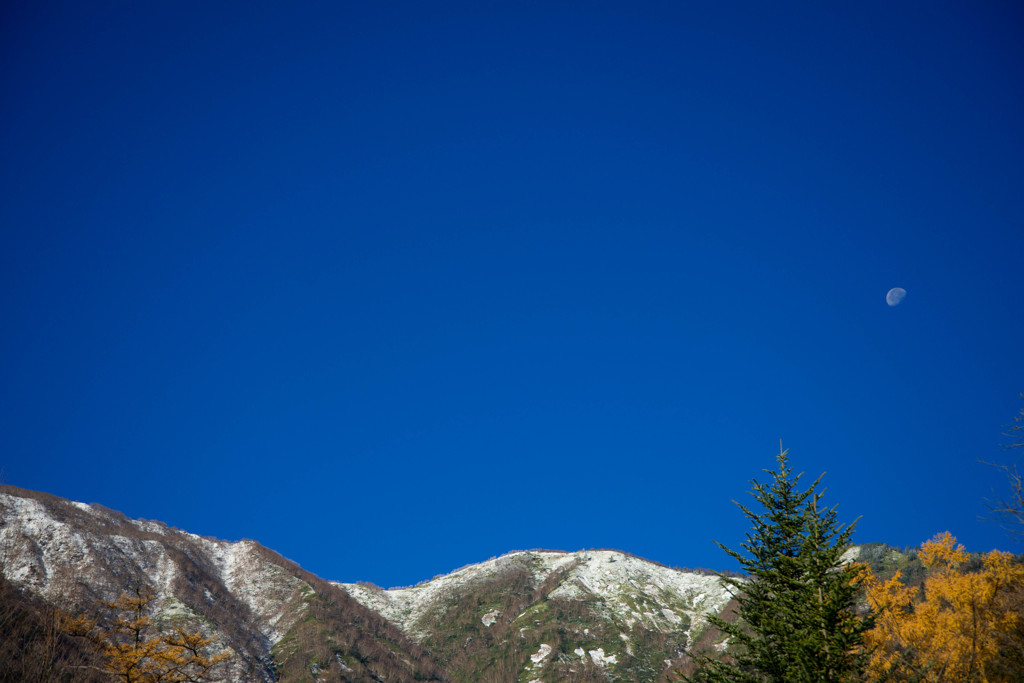 初冠雪