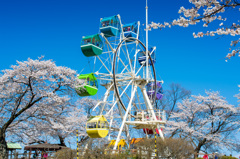 千手山公園