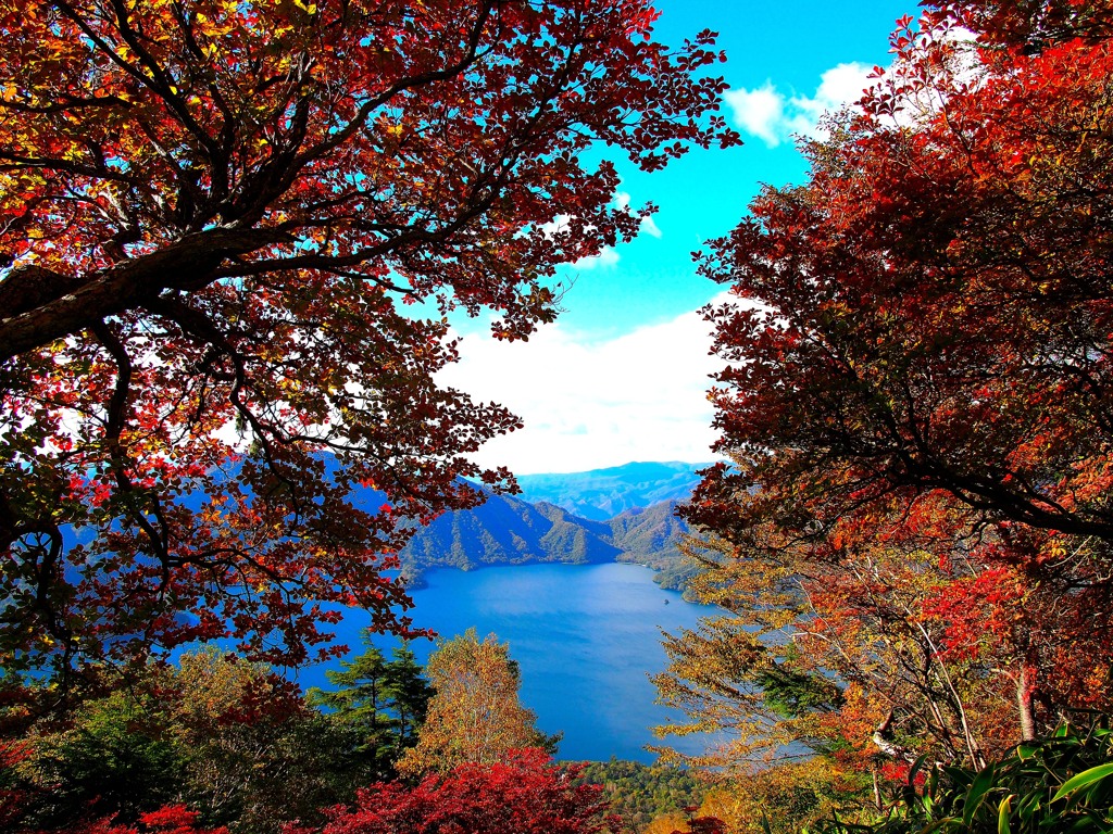 紅葉はじめました