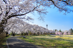 長峰公園