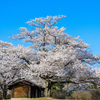 長峰公園