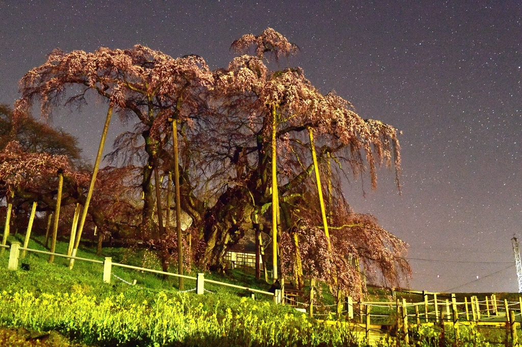 ISO 12800 の世界