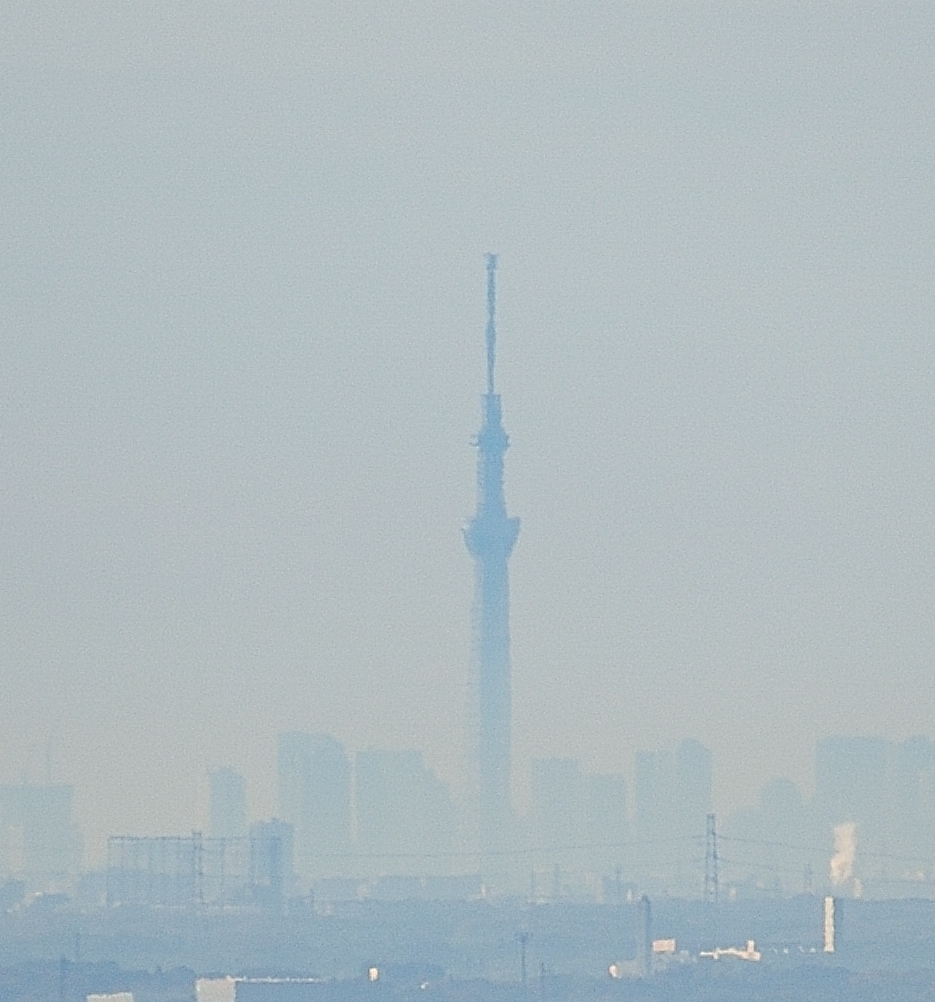 都の名所