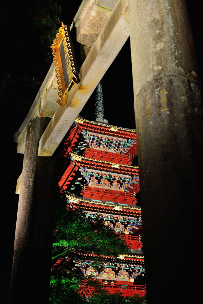 Nikko Tree