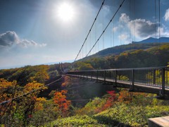 Suspension Bridge