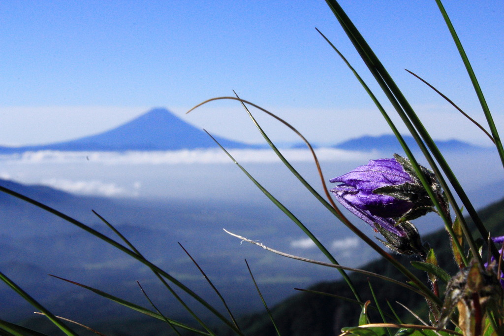 八ヶ岳の一角阿弥陀岳からの富士