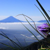 八ヶ岳の一角阿弥陀岳からの富士