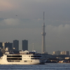 新東京名所