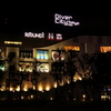 NEW お台場