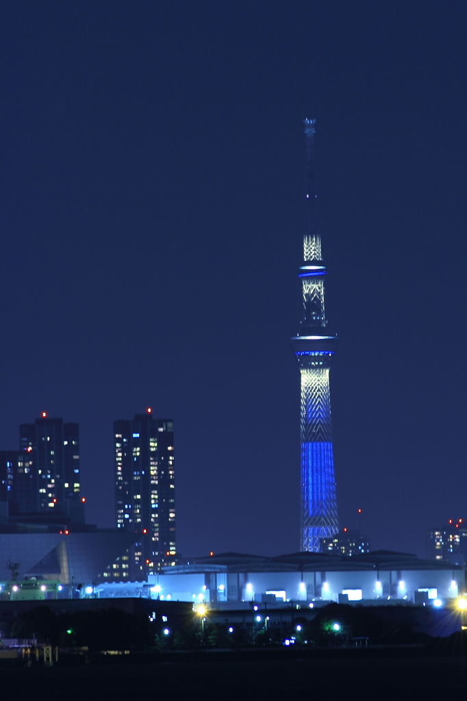 ブルータワー