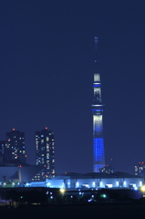 ブルータワー