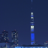 ブルータワー