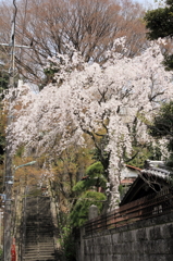 ゆっくりな時間