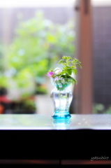 flower vase