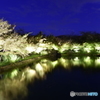 なばなの里の夜景3