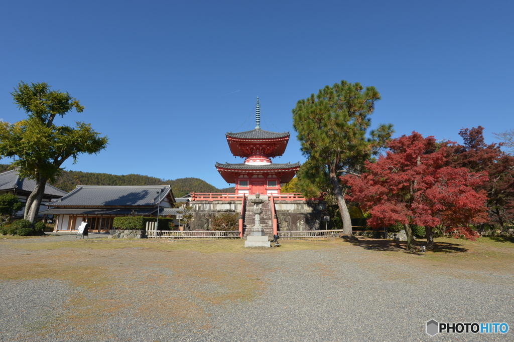 2019大覚寺3