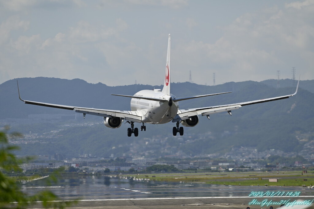 2023千里川土手4