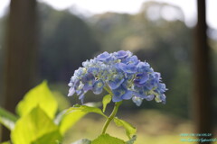 0051
