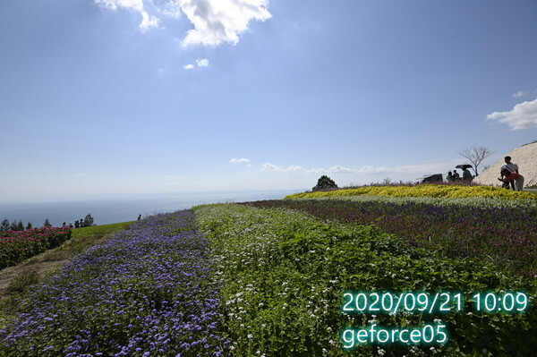 2020あわじ花さじき4