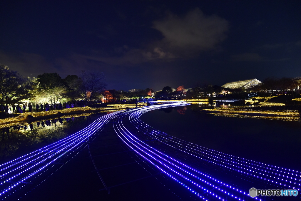 なばなの里の夜景9