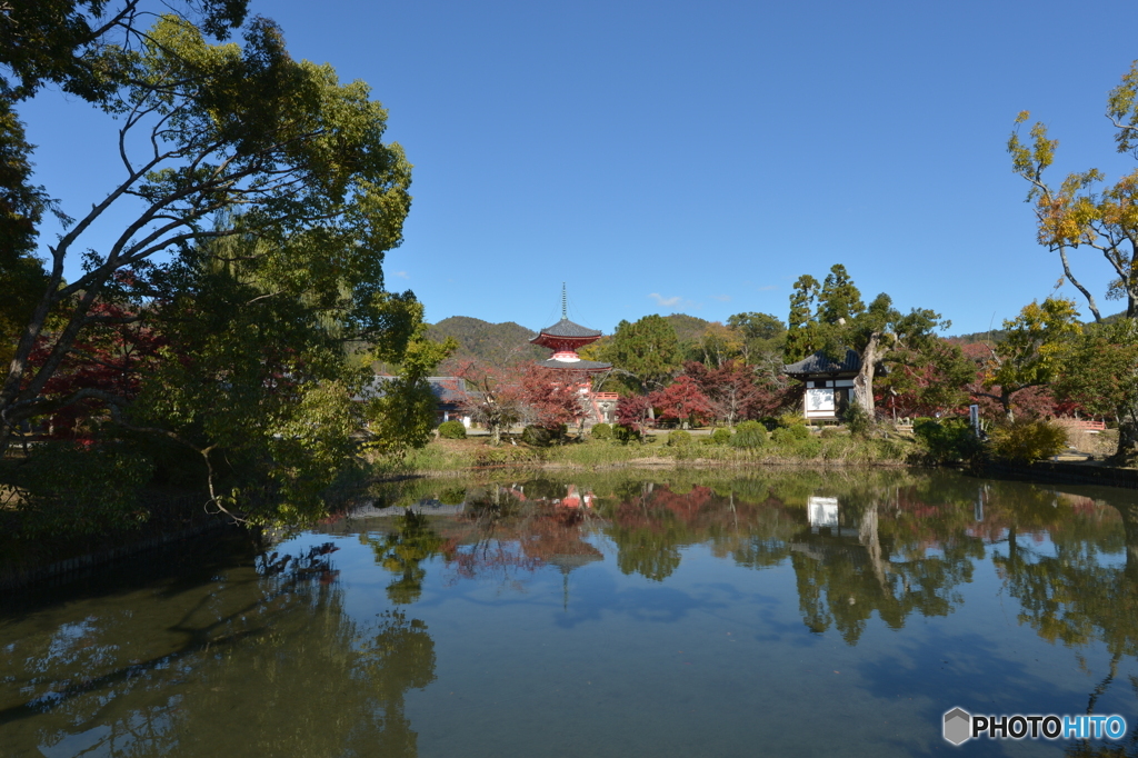 2019大覚寺1