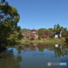 2019大覚寺1