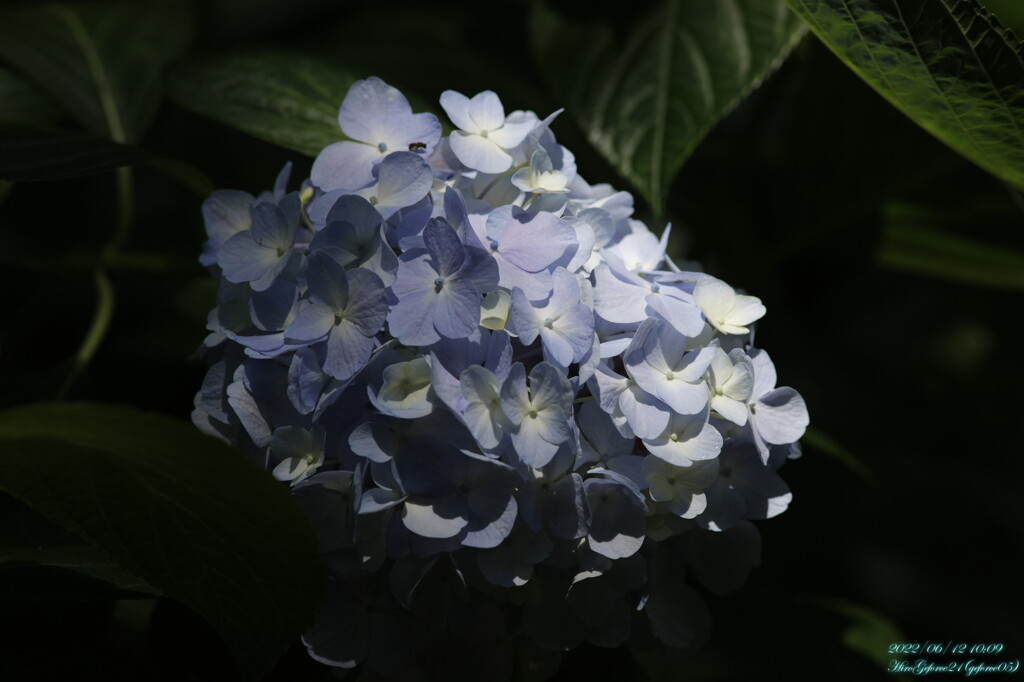 0058