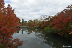 永観堂の紅葉