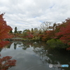 永観堂の紅葉
