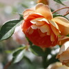 0042
