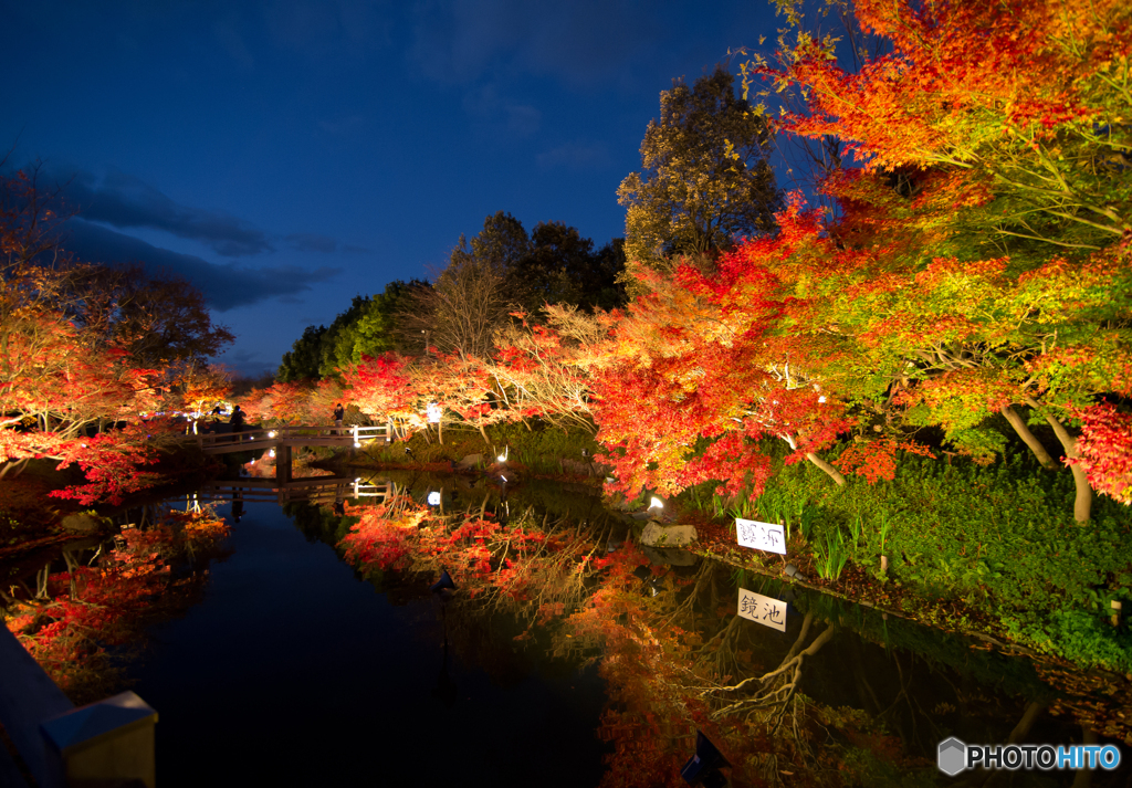 鏡紅葉