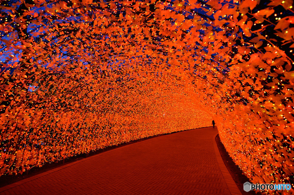 光のトンネル「秋」