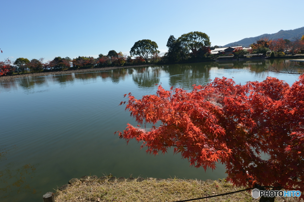 2019大覚寺2