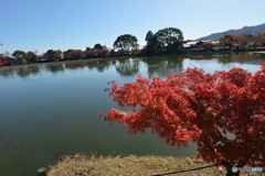 2019大覚寺2