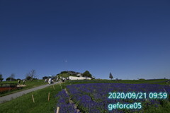 2020あわじ花さじき2