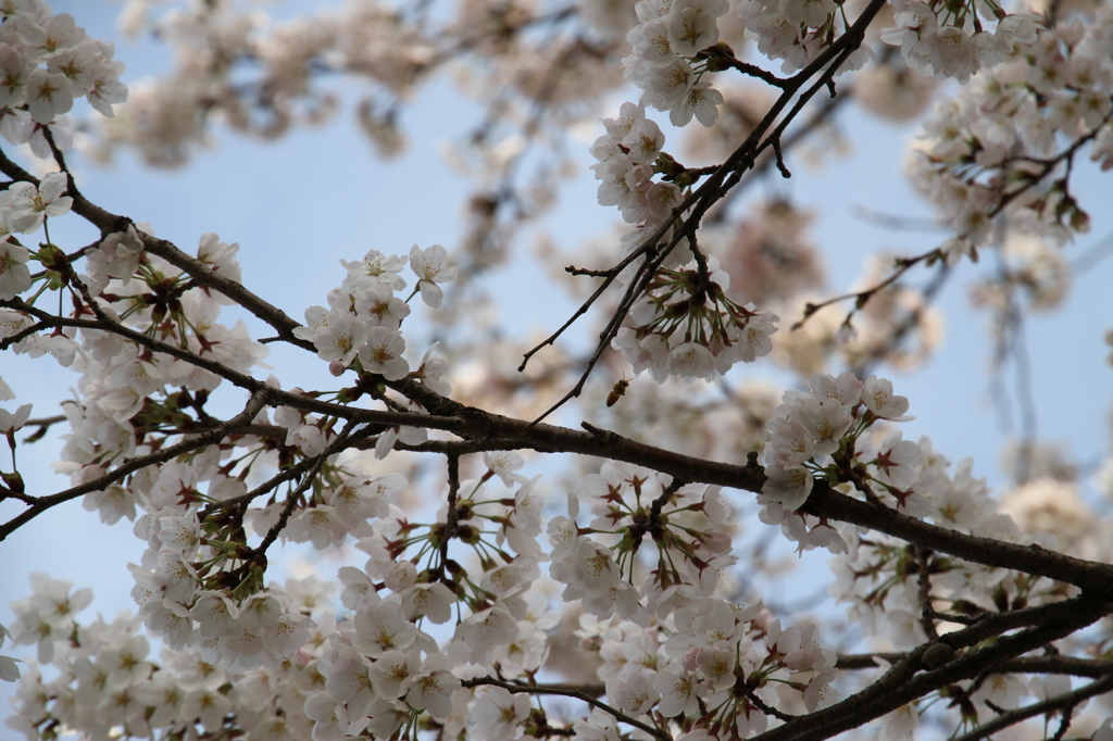 サラリーマンの仕事