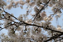 サラリーマンの仕事