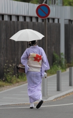 着物美人