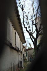 路地裏