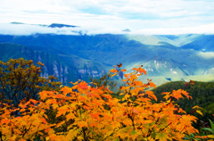 黒岳、紅葉の途中