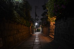 石塀小路とつつじ