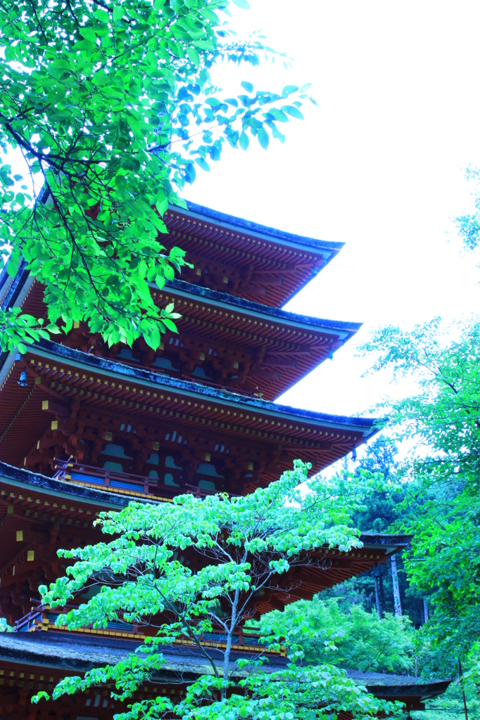 曇り空な長谷寺