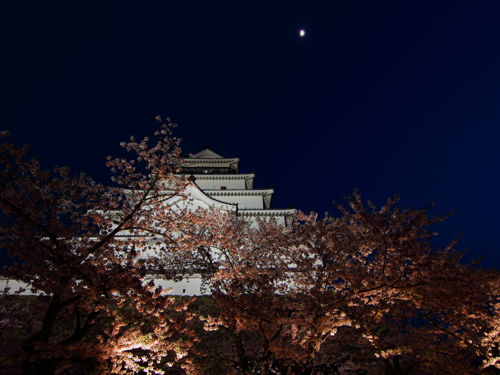 夜桜と鶴ヶ城3