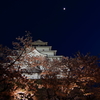 夜桜と鶴ヶ城3