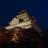 夜桜と鶴ヶ城