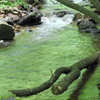 緑水の流れ