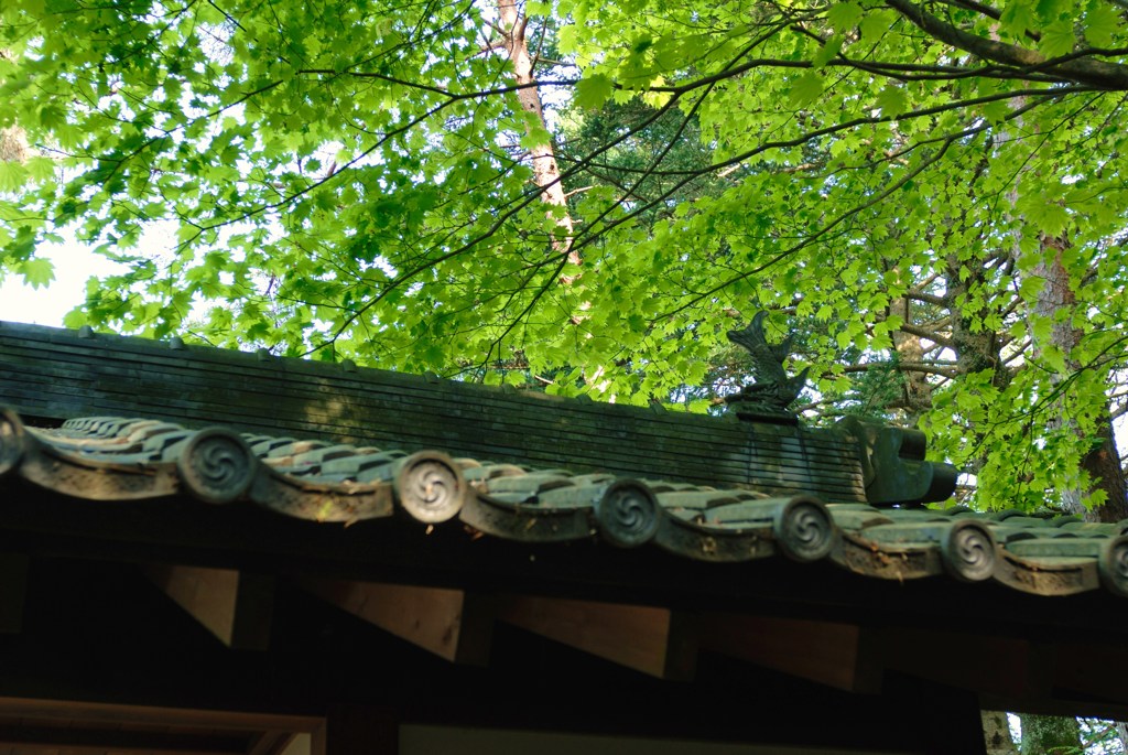 清水寺　仁王像屋根